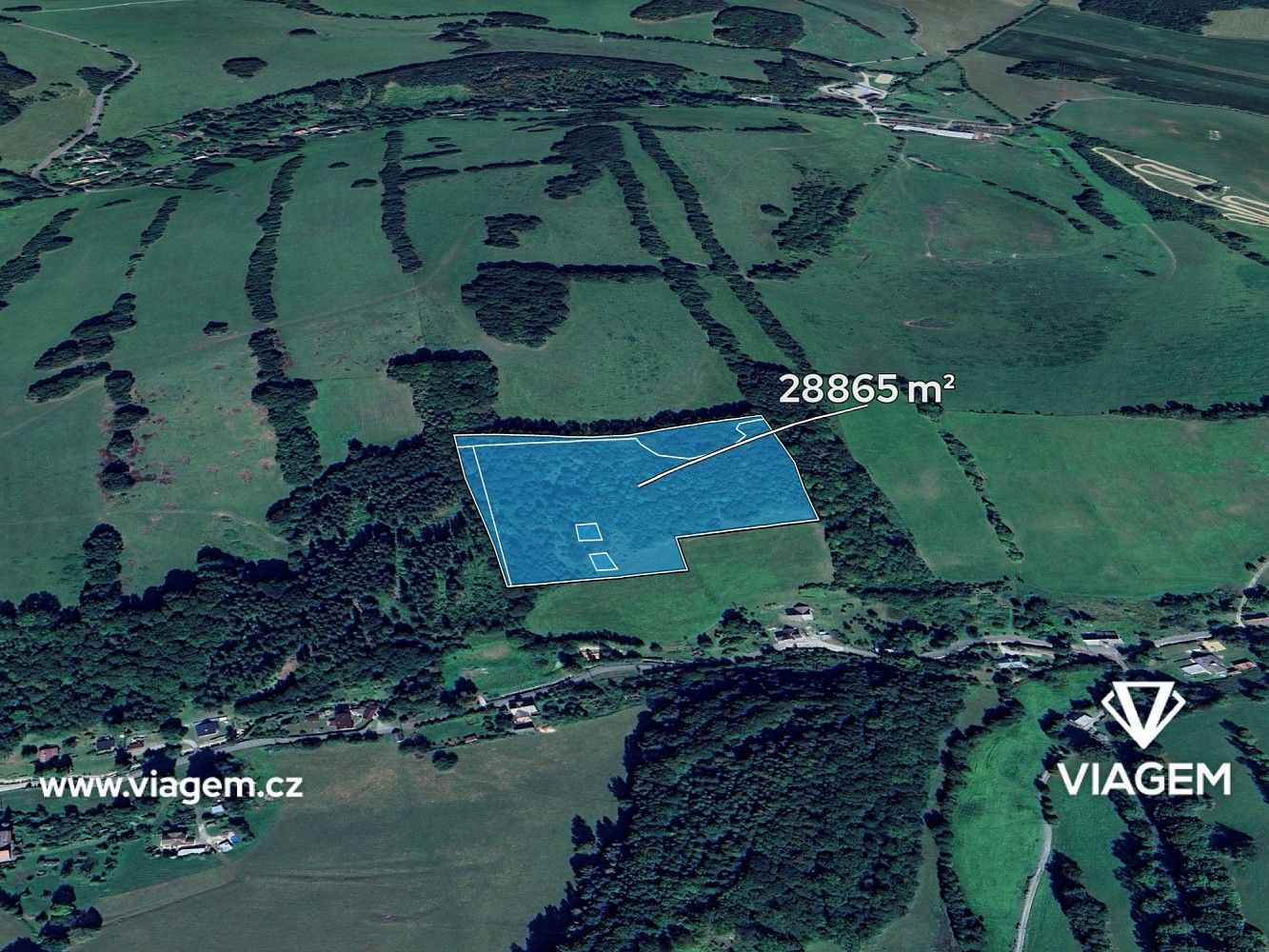 Les · Skorošice, okres Jeseník, Olomoucký kraj - 1