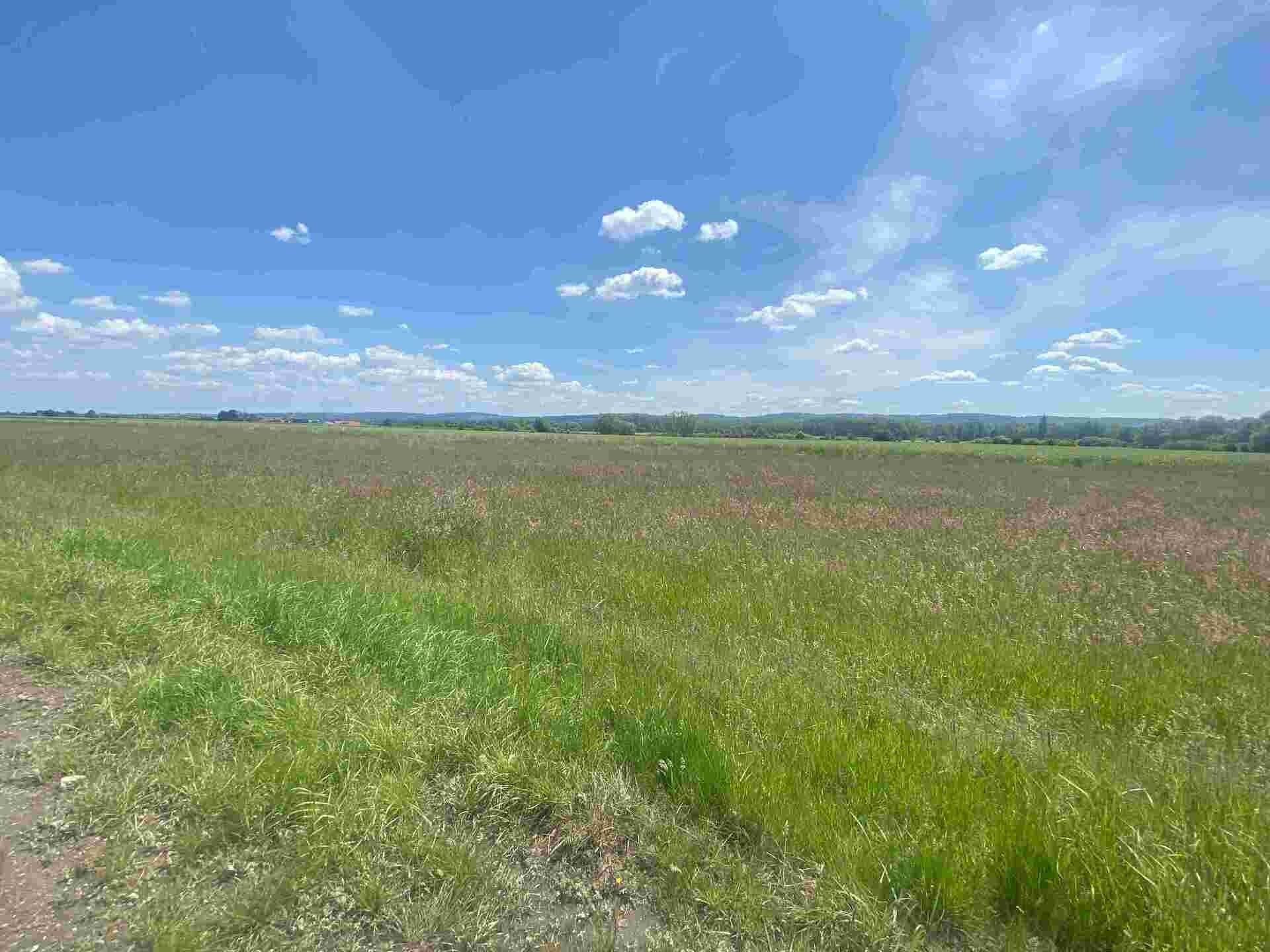 Prodej pozemek - Kravaře, 2 m²