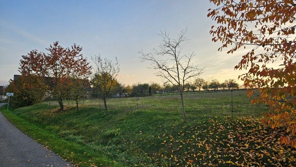 Pozemky pro bydlení, Mladá Vožice, 391 43