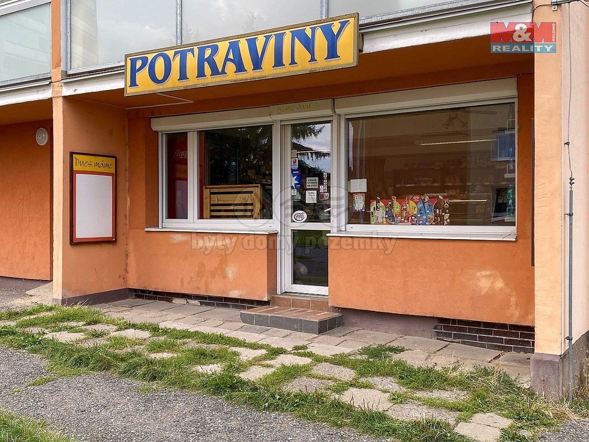 Prodej obchodní prostory - Kladno - Kročehlavy, Středočeský kraj, 65 m² - 5
