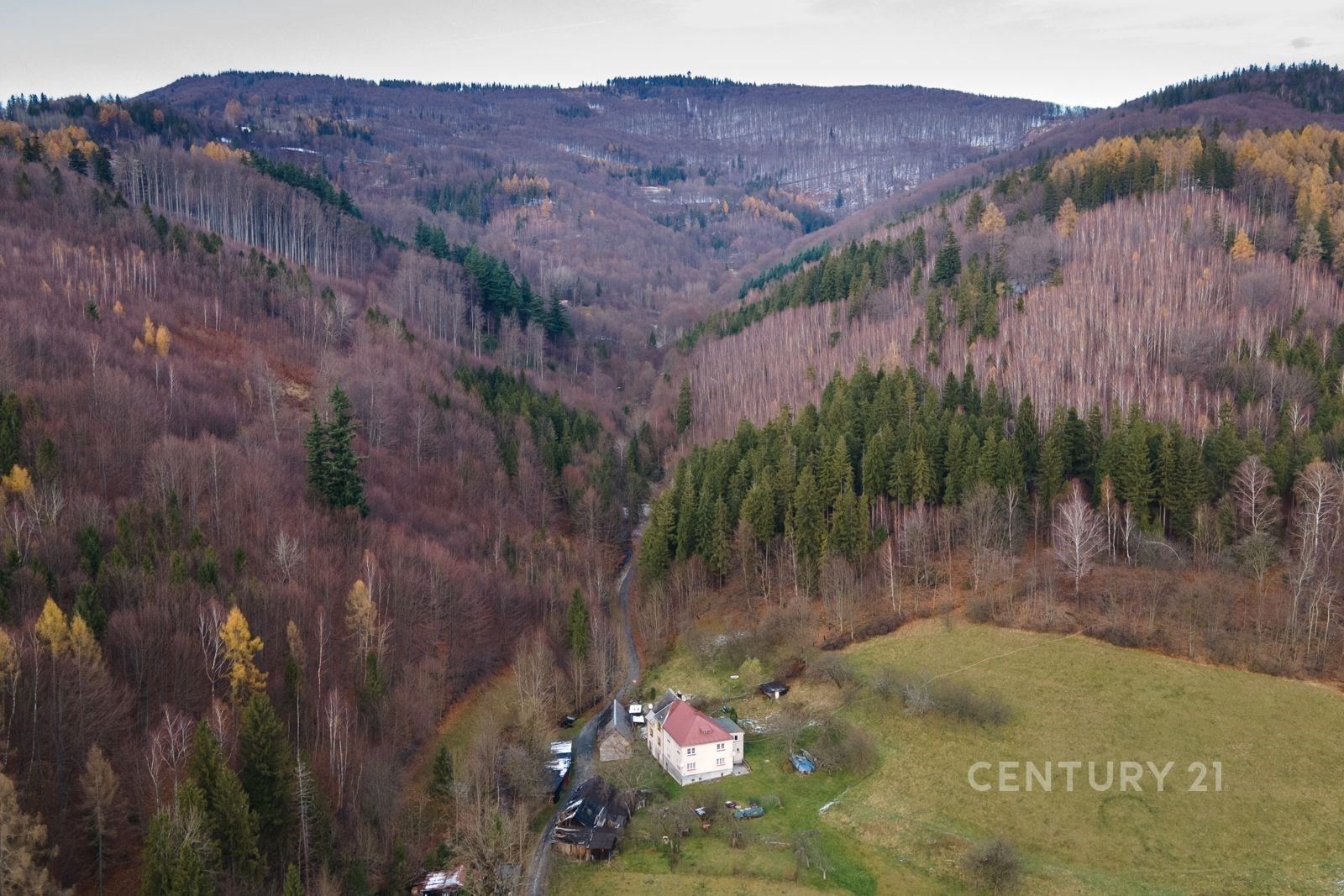 Lesy, Nýdek - 2