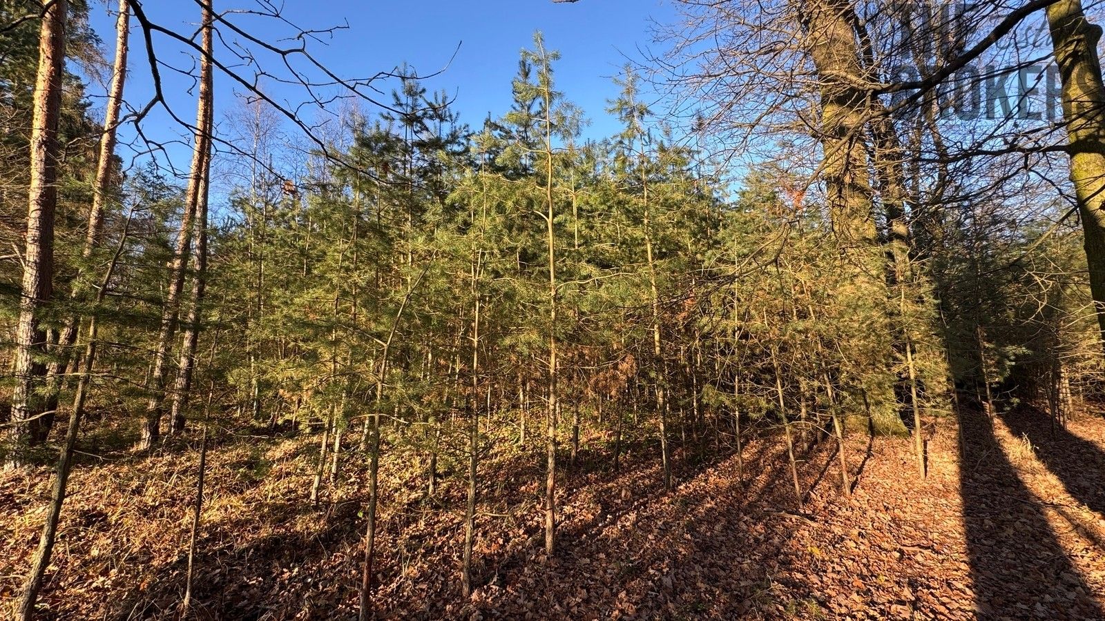 Les · 8 225 m² · Pardubice - 4