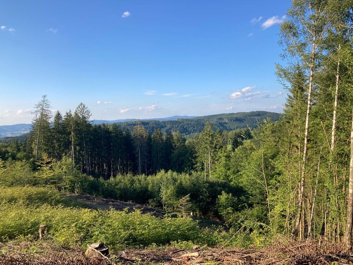 Prodej pozemek pro bydlení - Valašská Polanka, 756 11