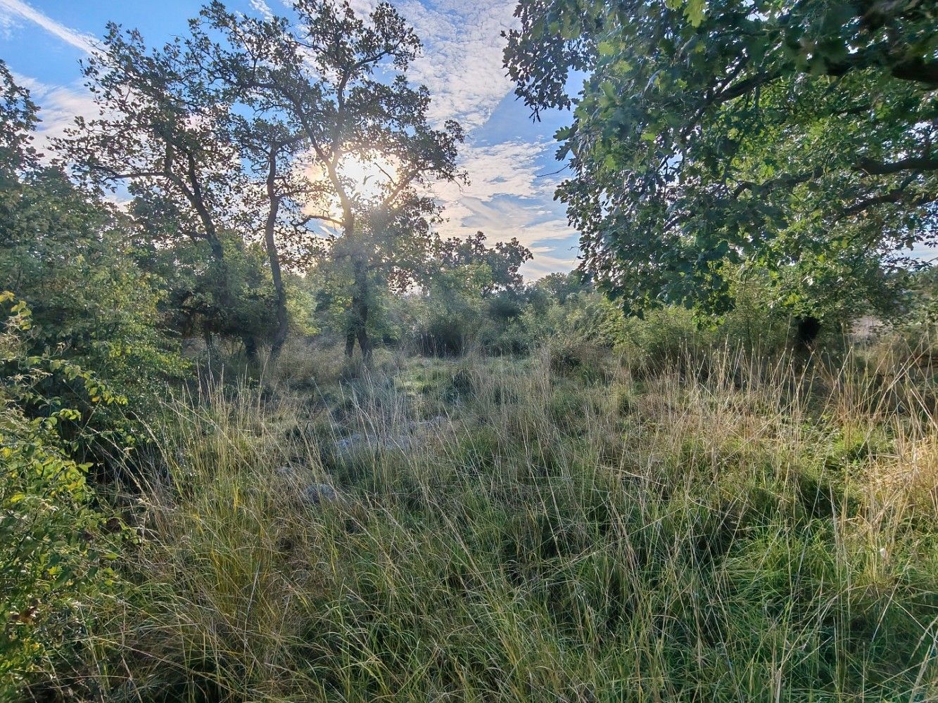 Pozemek pro bydlení, 794 m²