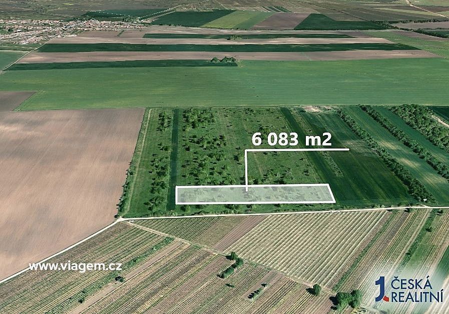 Zemědělské pozemky, Hrušky, okres Břeclav, Jihomoravský kraj - 2