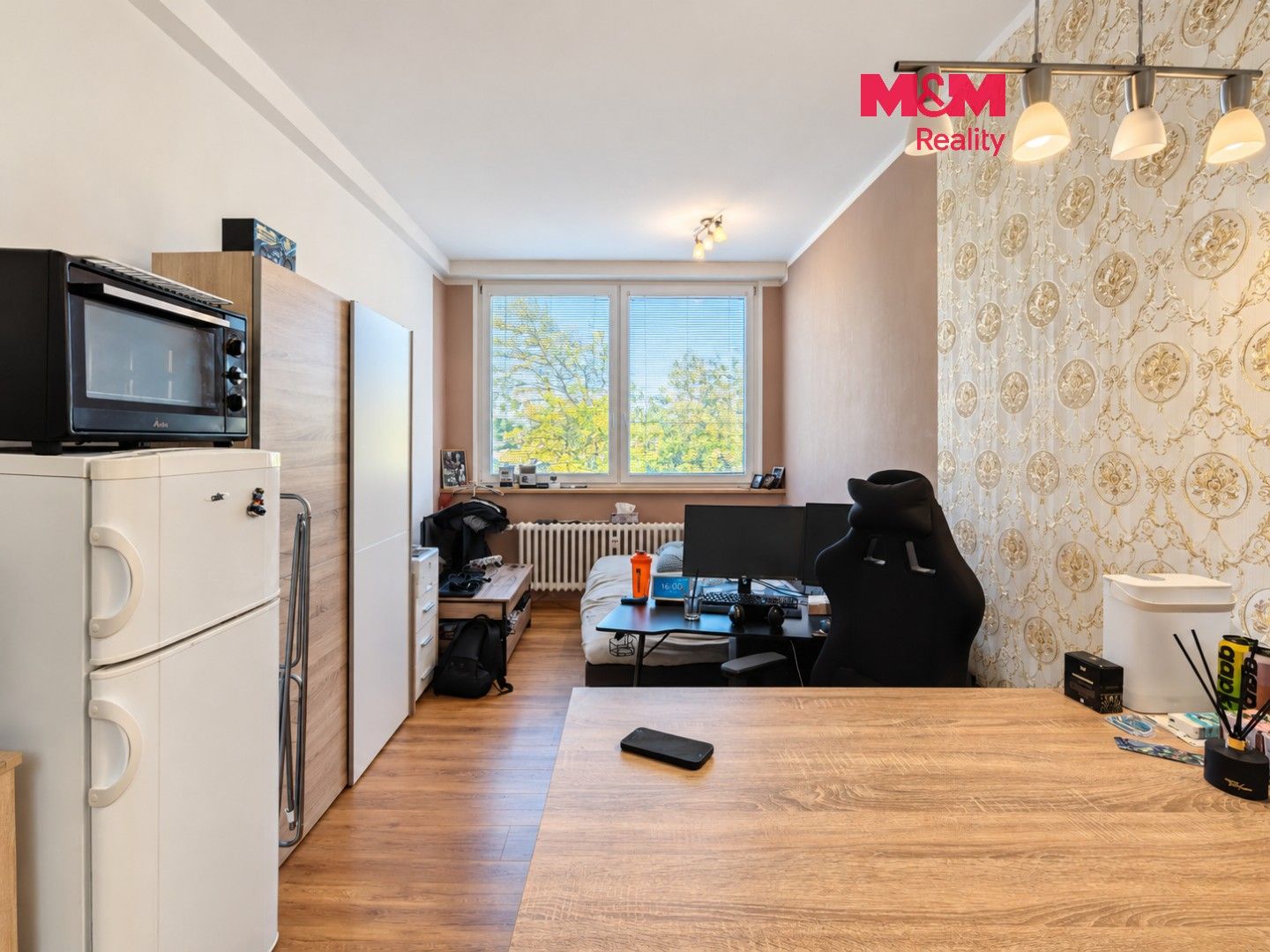 2h asunto, 24 m²