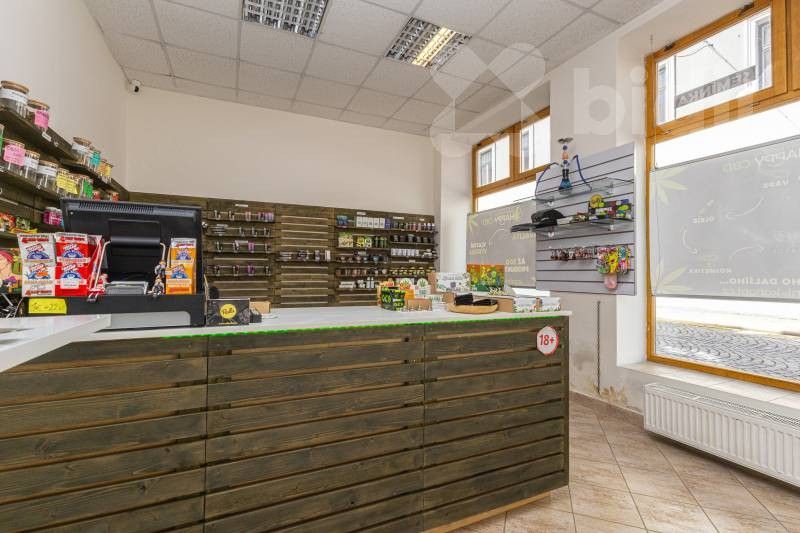 Obchodní prostory, Dolní Česká, Znojmo, 28 m² - 2
