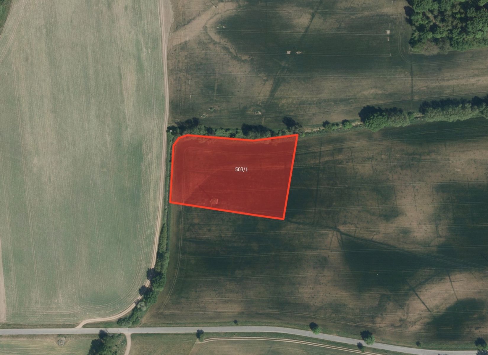 Zemědělské pozemky, Rybitví