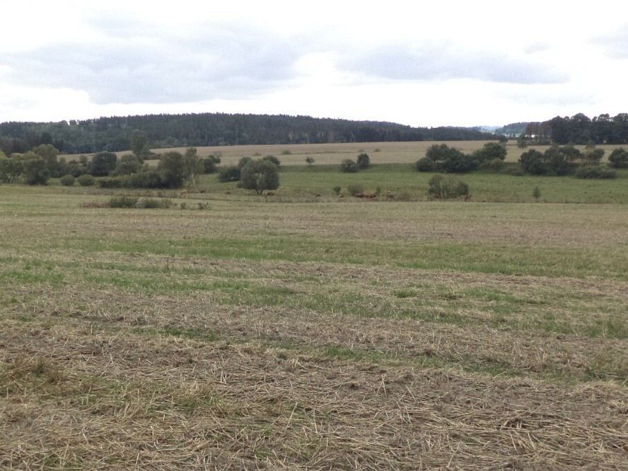 Zemědělské pozemky, Lom u Tachova, okres Tachov, Plzeňský kraj - 2