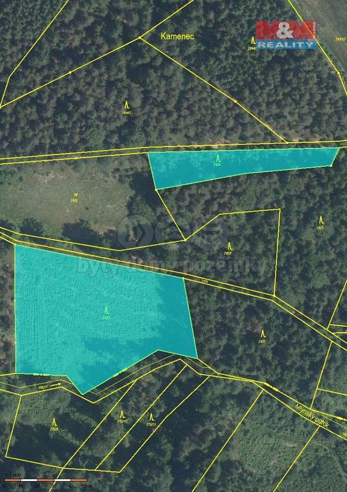 Les · Železný Brod, okres Jablonec nad Nisou, Liberecký kraj - 3