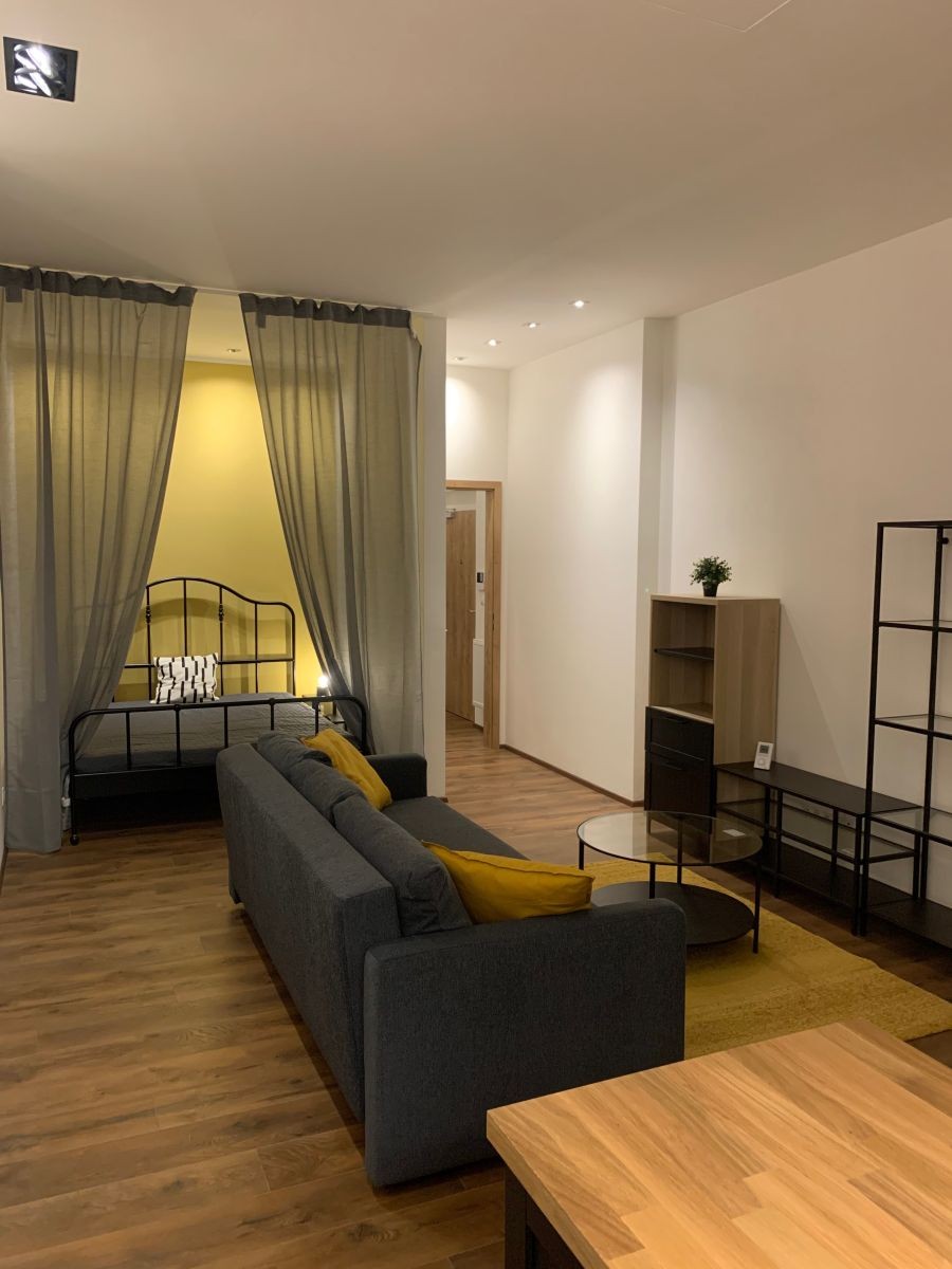 Byt 1+kk · 45 m² · Kotlářská, Brno - Veveří, Jihomoravský kraj - 3