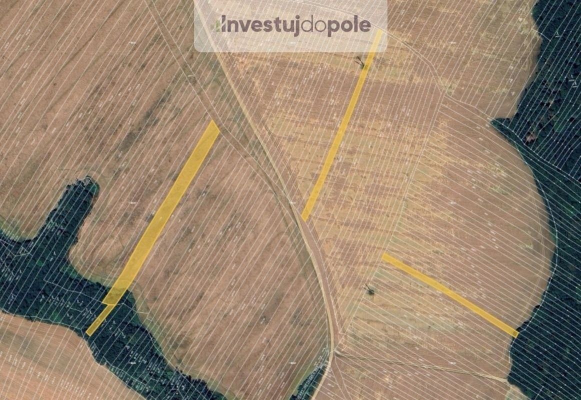 Prodej zemědělský pozemek - Bílovice u Uherského Hradiště, 687 12, 3 272 m²