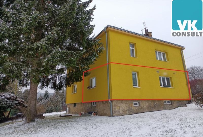 1+1, Ústí nad Orlicí, 48 m²