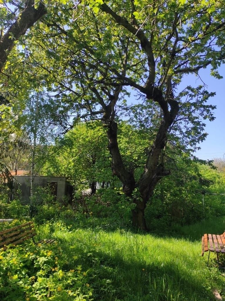 Prodej rodinný dům - Louny, 440 01 - 5