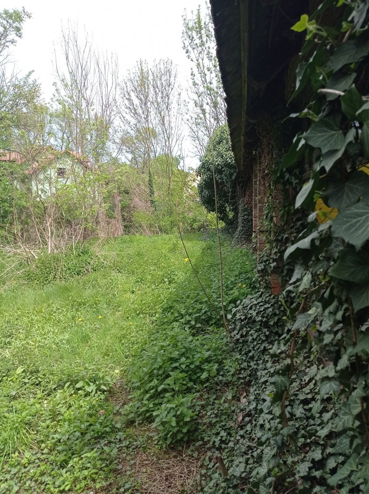 Chata · 63 m² · Lednice Nejdek - 4