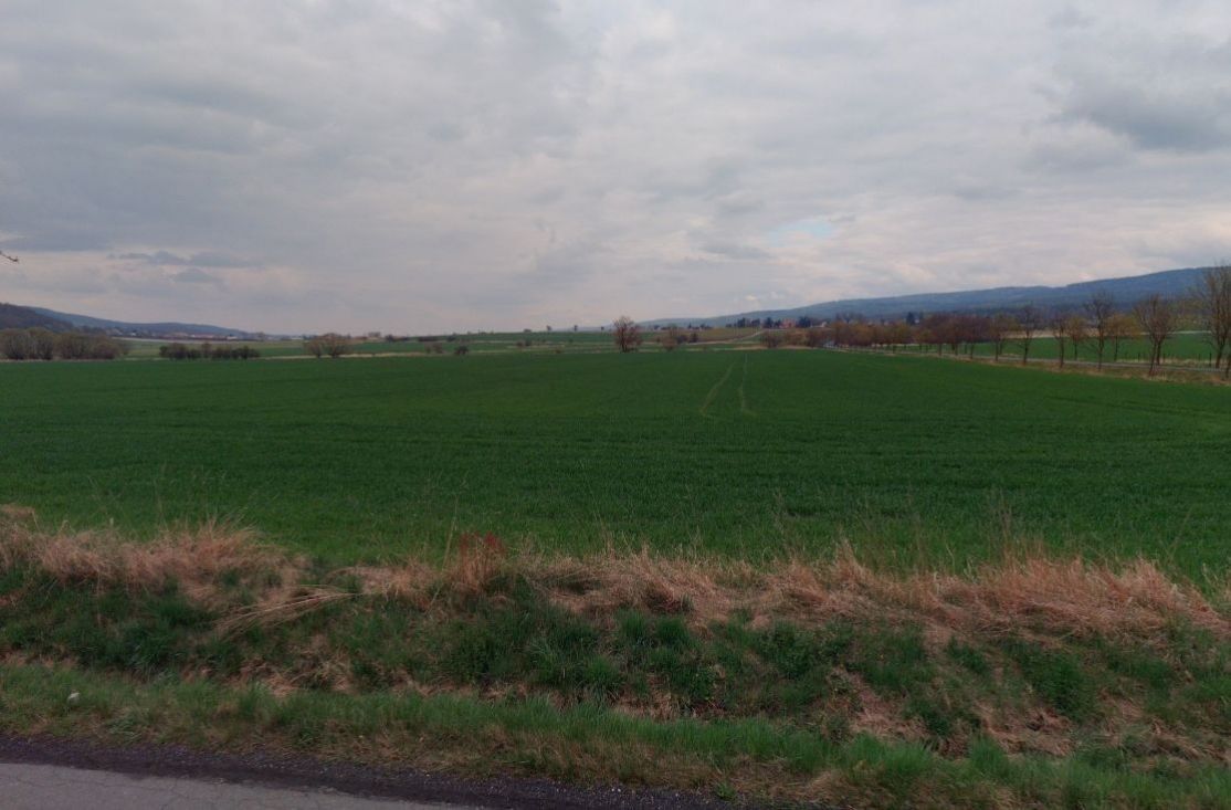 Prodej zemědělský pozemek - Lážovice, 5 984 m²