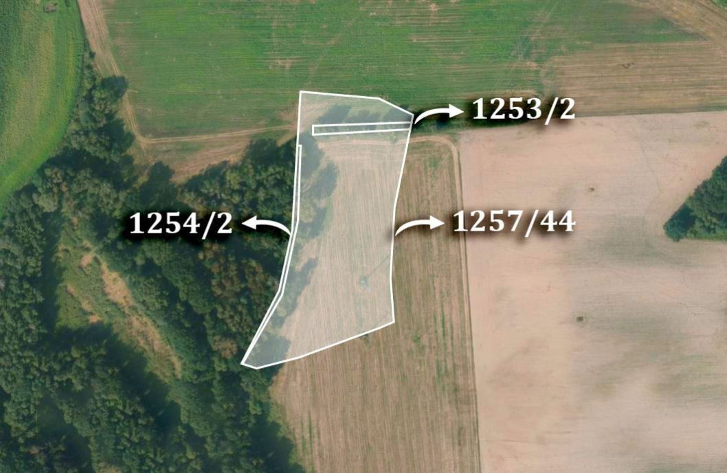 Prodej zemědělský pozemek - Lázně Bohdaneč, 4 958 m²