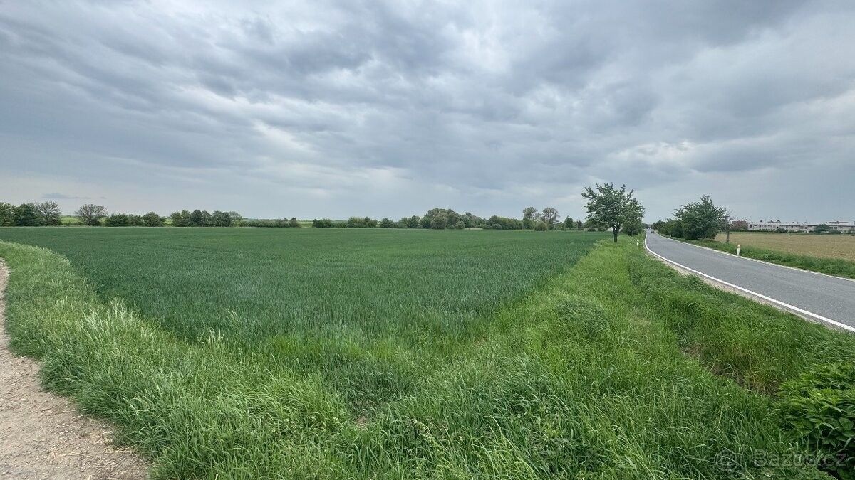 Prodej pozemek pro bydlení - Nymburk, 288 02