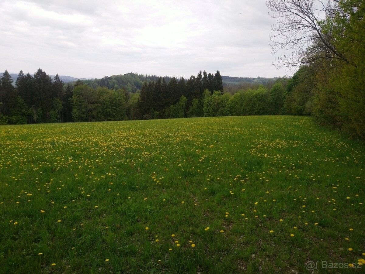 Prodej pozemek pro bydlení - Jilemnice, 514 01