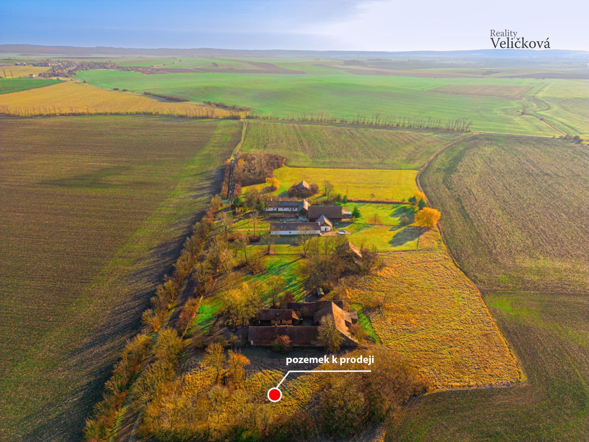 Prodej pozemek pro bydlení - Běchárky, Běchary, 986 m²