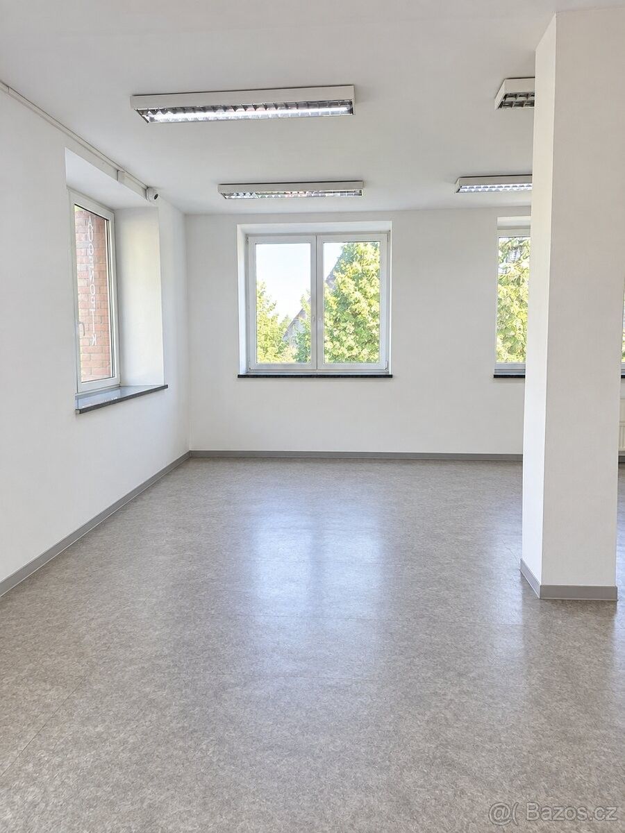 Obchodní prostory · Petrovice u Ústí nad Labem, 403 37 - 4
