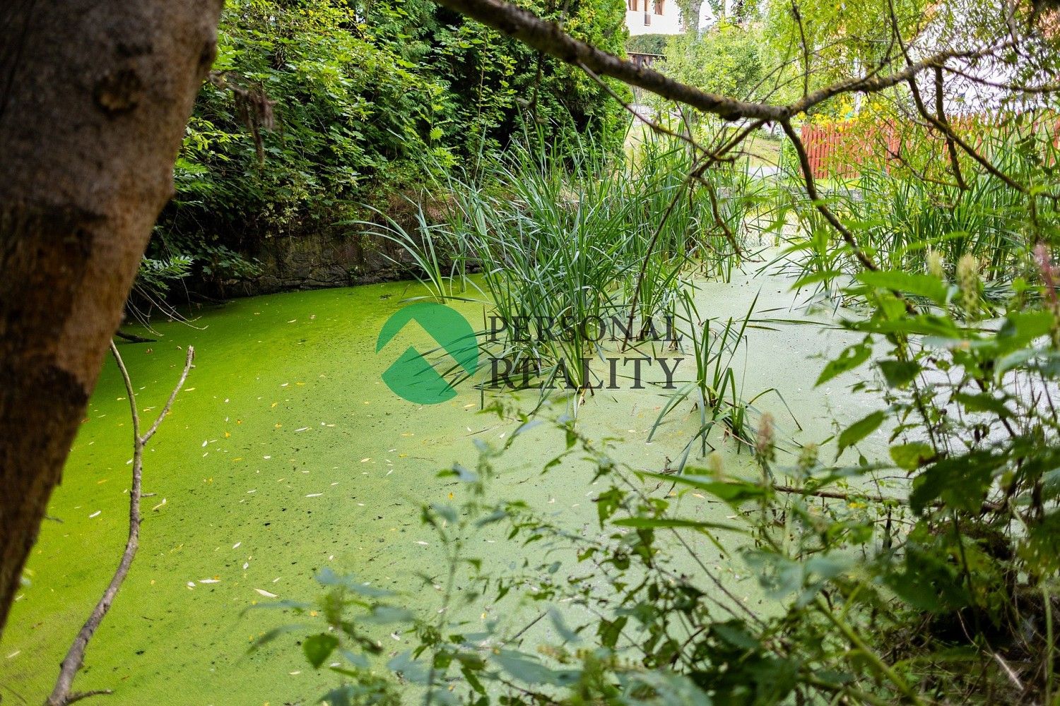 Rodinný dům · 307 m² · Drhovy - Homole, okres Příbram - 3