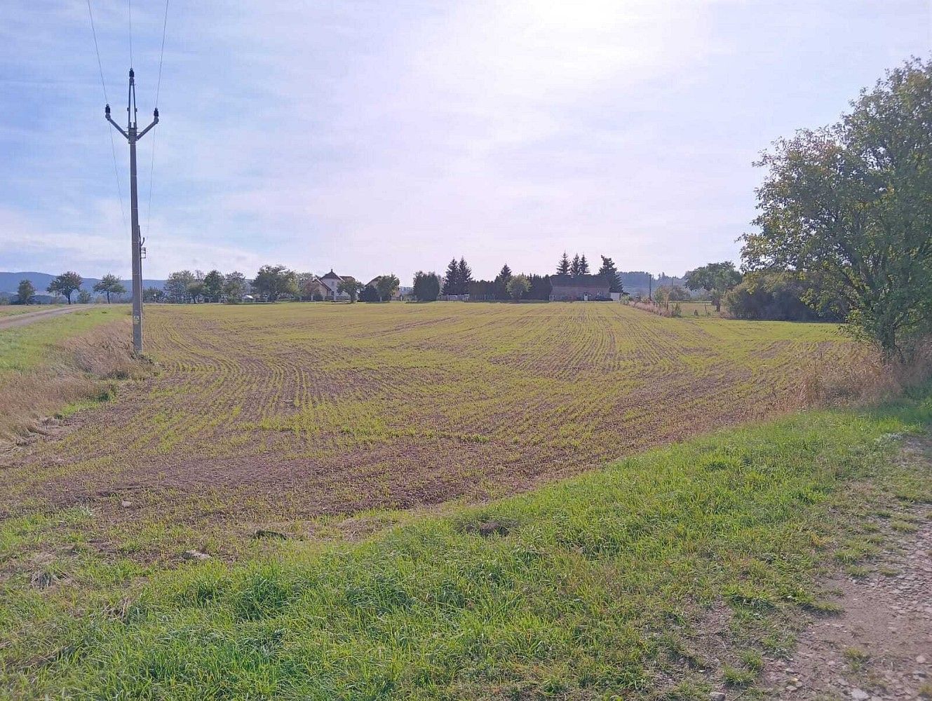 Zemědělské pozemky, Vrbice - 2