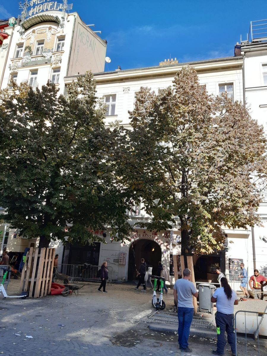 Byt 1+1 · 51 m² · Václavské náměstí, Praha - Nové Město - 3