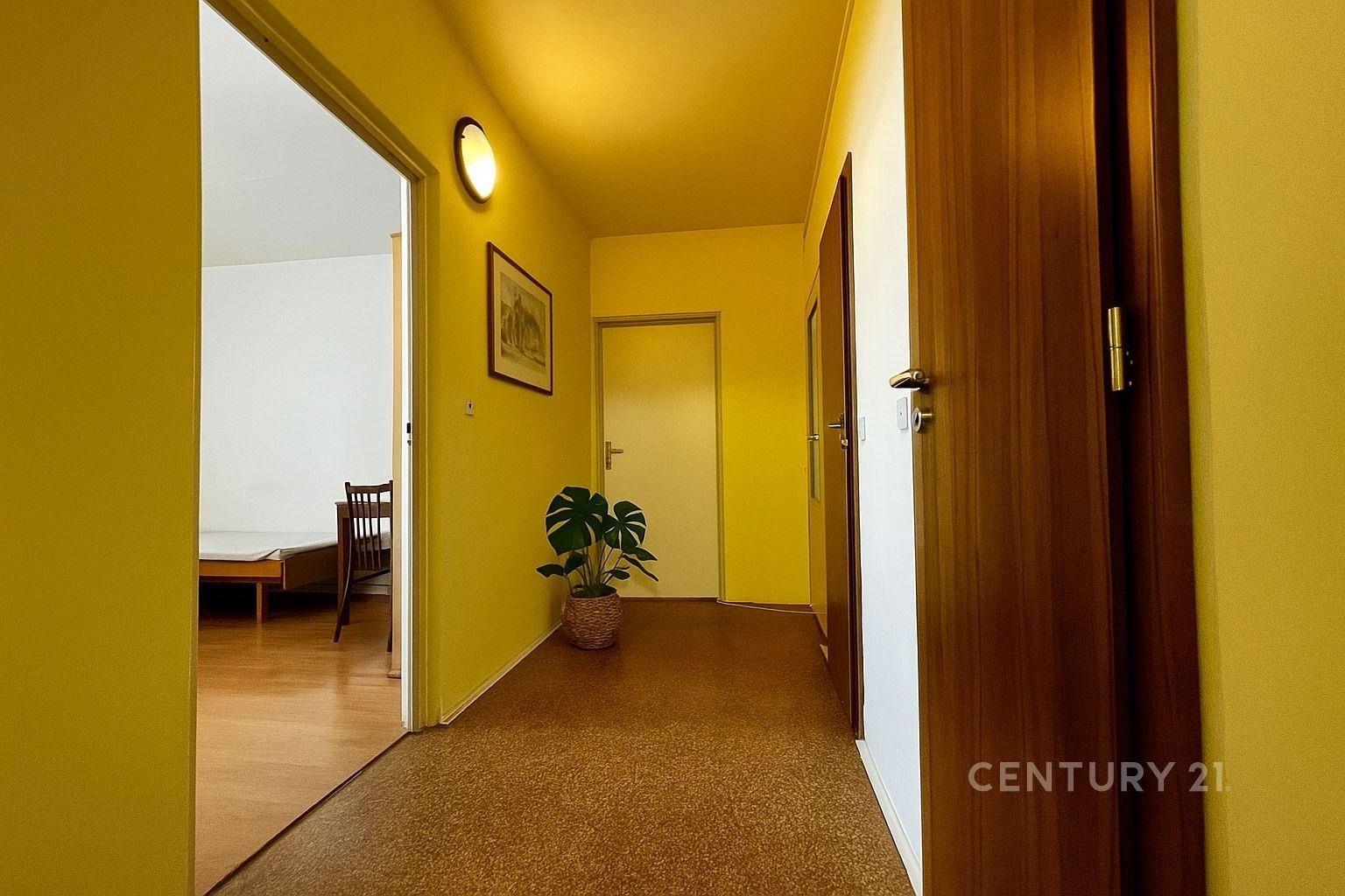 Pronájem byt - Spodní, Brno, 67 m²