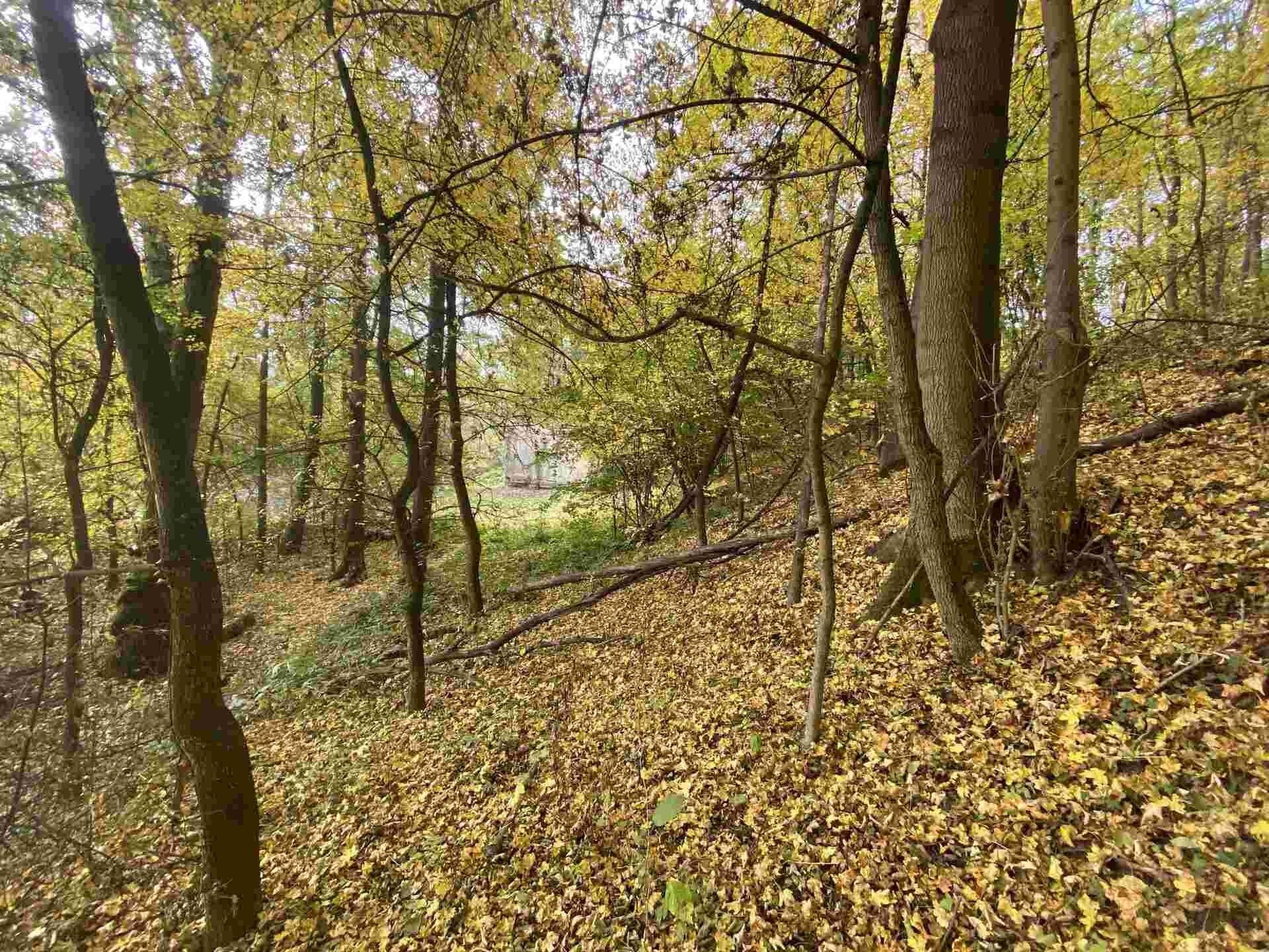 Prodej pozemek - Svijany, 2 m²