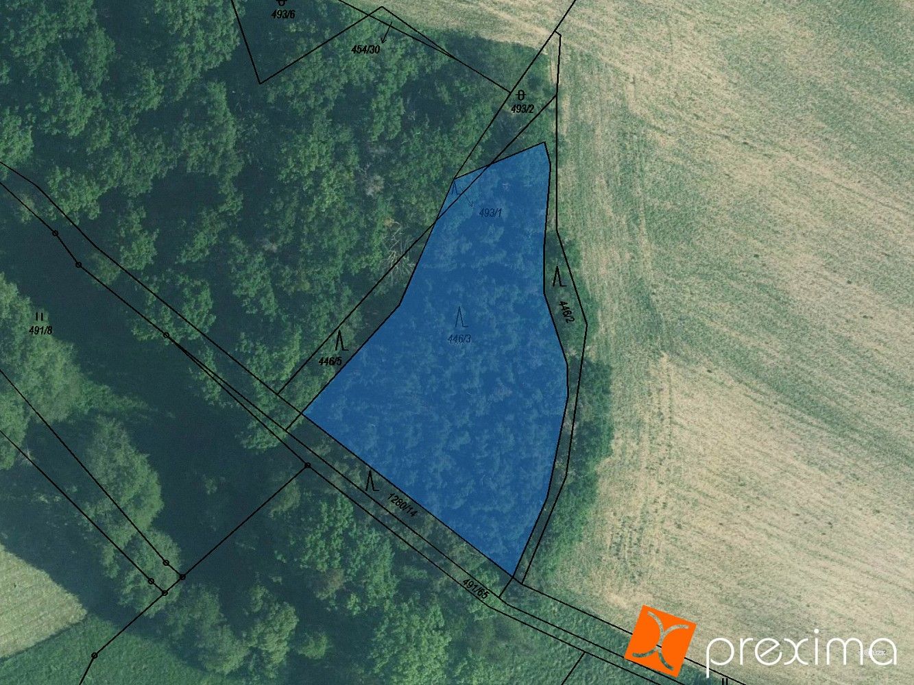 Prodej les - Líšťany, okres Plzeň-sever, Plzeňský kraj - 1