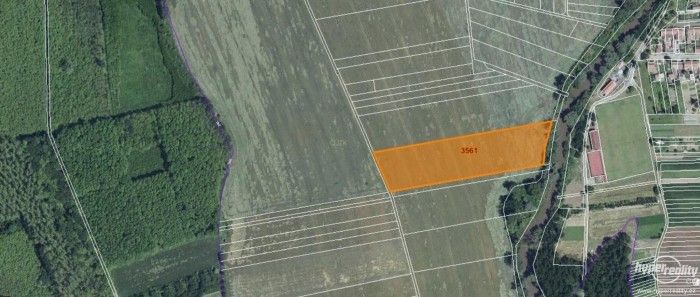 Prodej zemědělský pozemek - Přibice, 56 275 m²