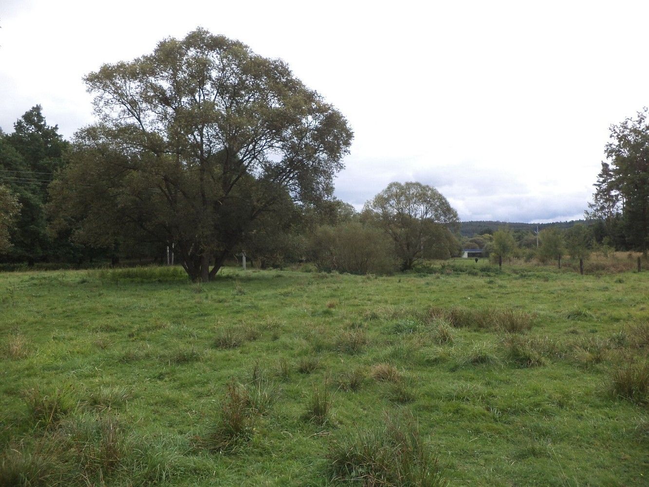 Pozemek, 177 m²