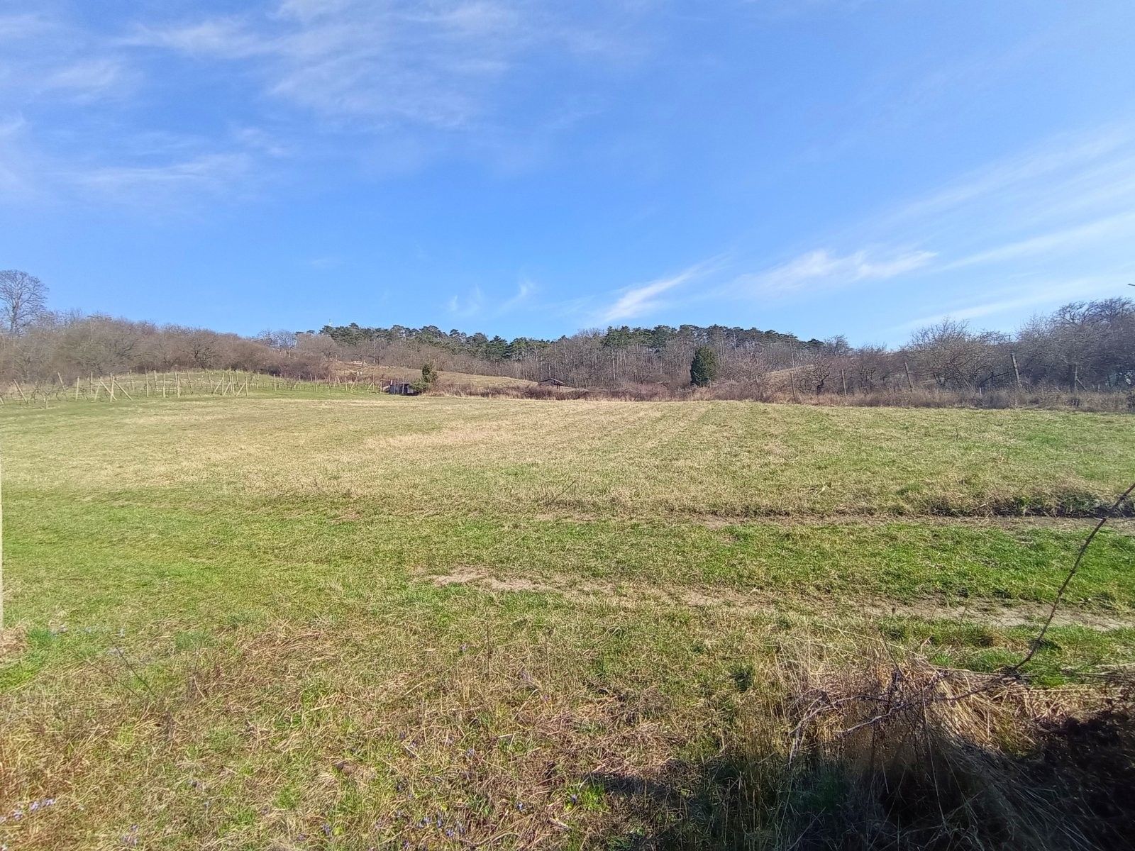 Zahrady, Nová 1, Mikulov, 1 043 m² - 2