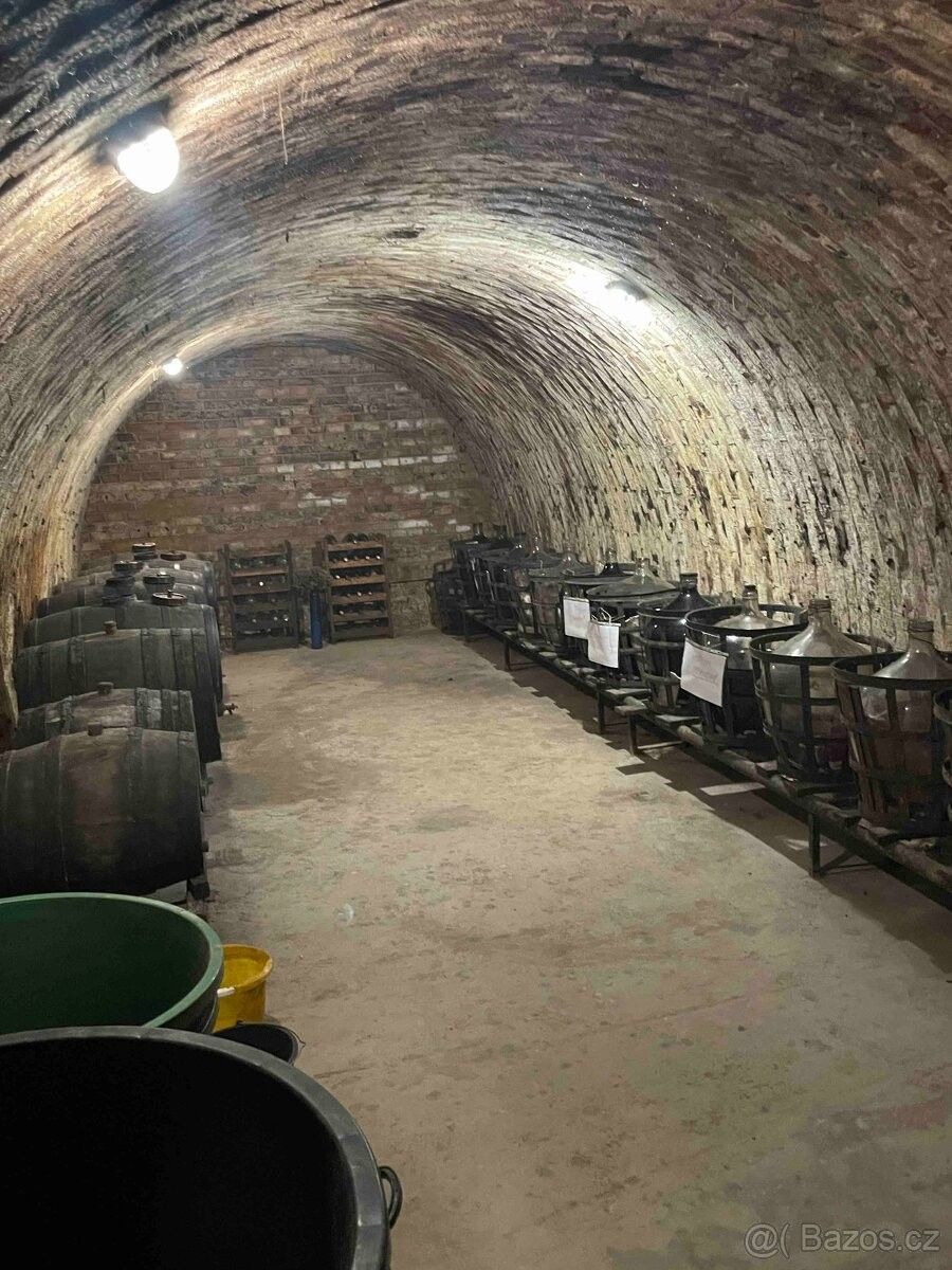Ostatní, Dolní Bojanovice, 696 17 - 2