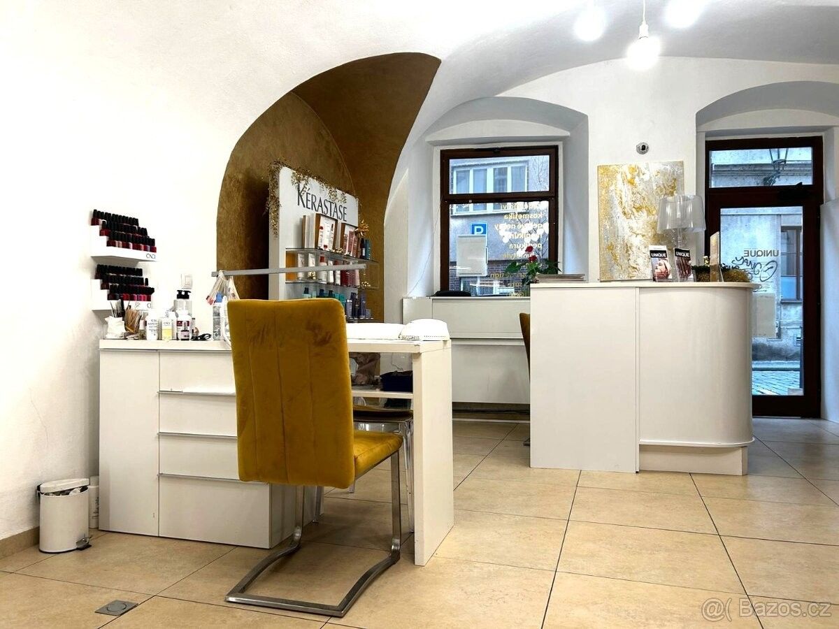 Obchodní prostory, Praha, 110 00