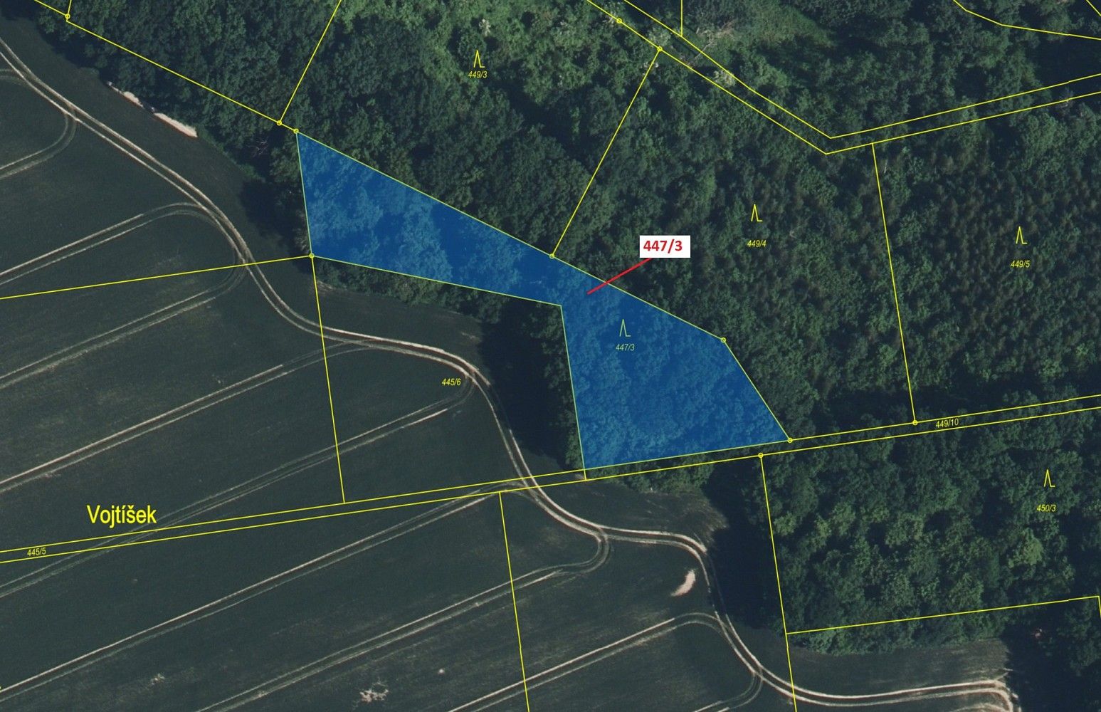 Les · Bílá Hlína, okres Mladá Boleslav, Středočeský kraj - 2