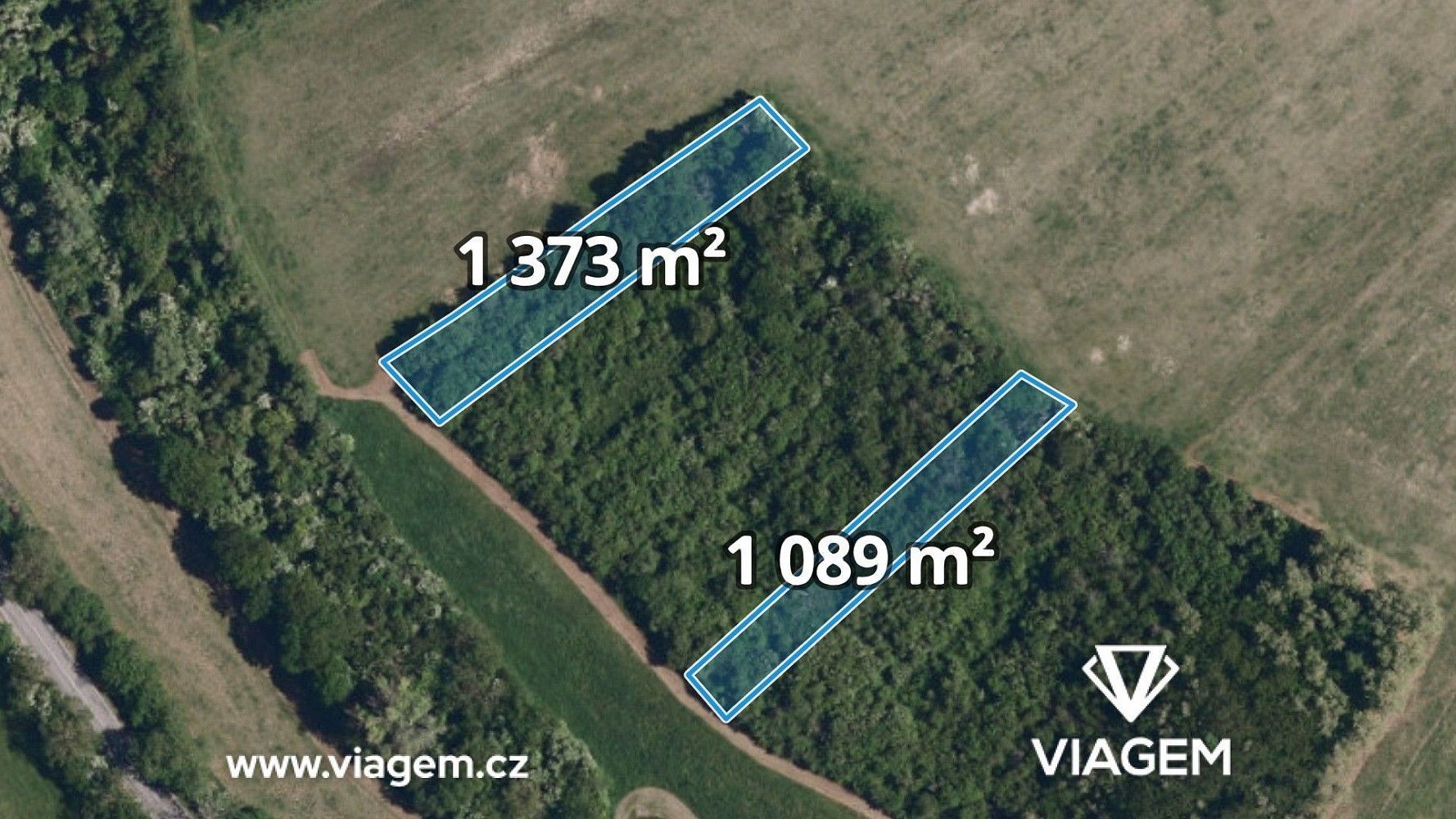 Lesy, Kurdějov, okres Břeclav, Jihomoravský kraj