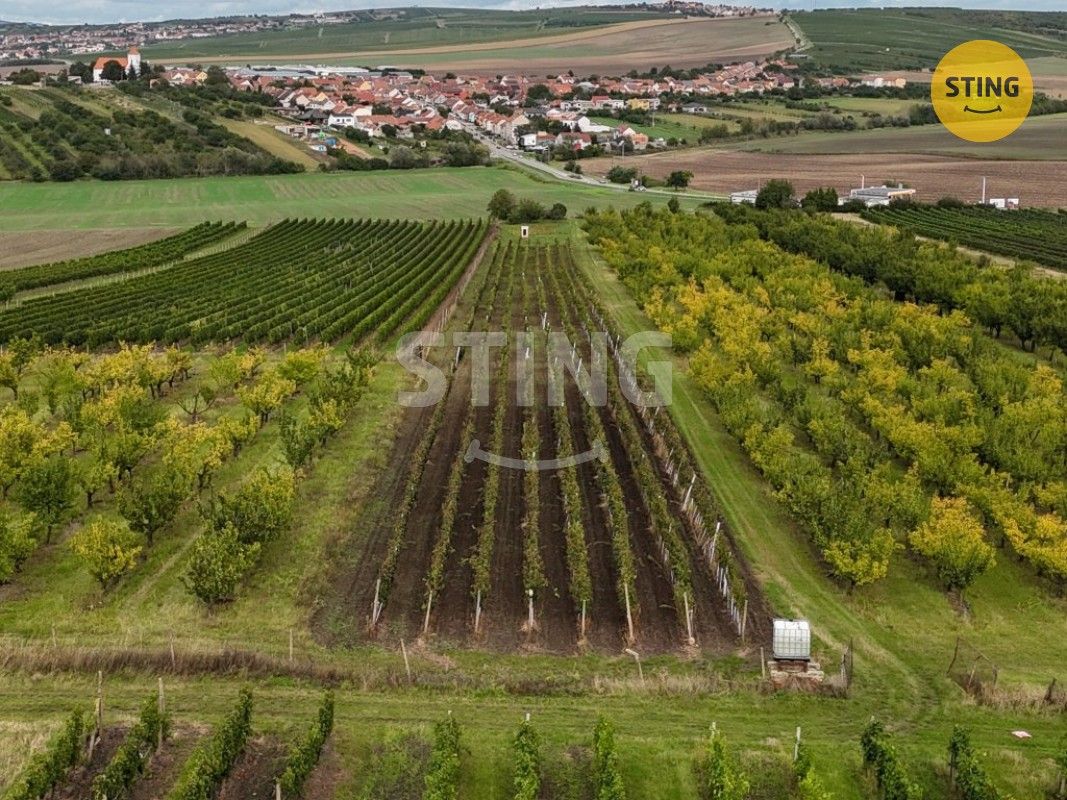 Pozemky pro bydlení, Velké Pavlovice, 691 06