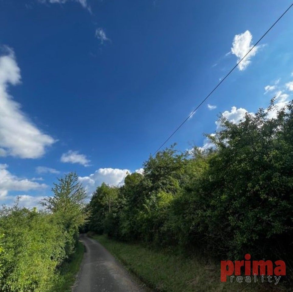 Zemědělské pozemky, Milešov, 4 371 m²