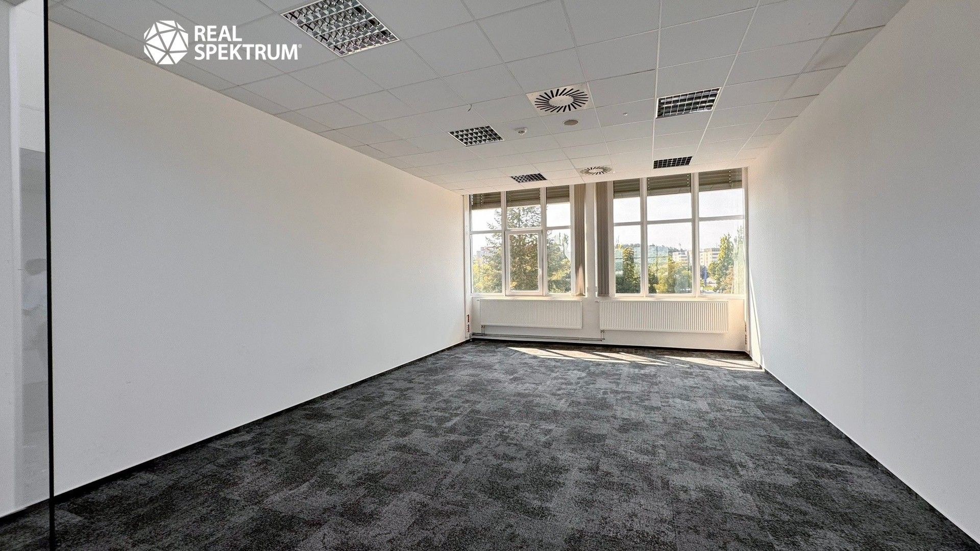 Kanceláře, Purkyňova, Brno, 25 m²