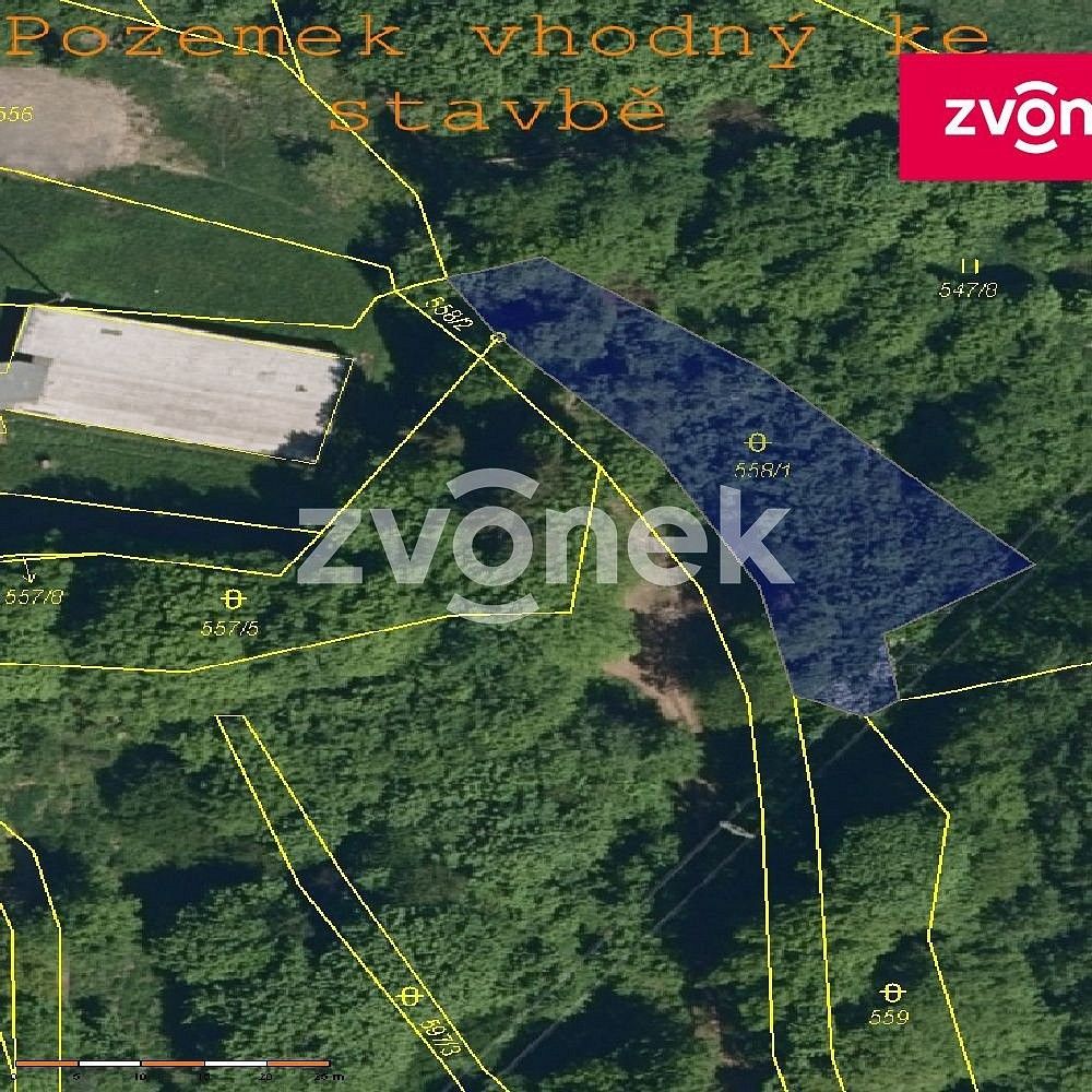 Lesy, Vsetín - Rokytnice, Zlínský kraj