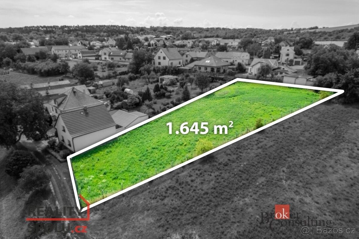 Pozemky pro bydlení, Bechlín, 411 86