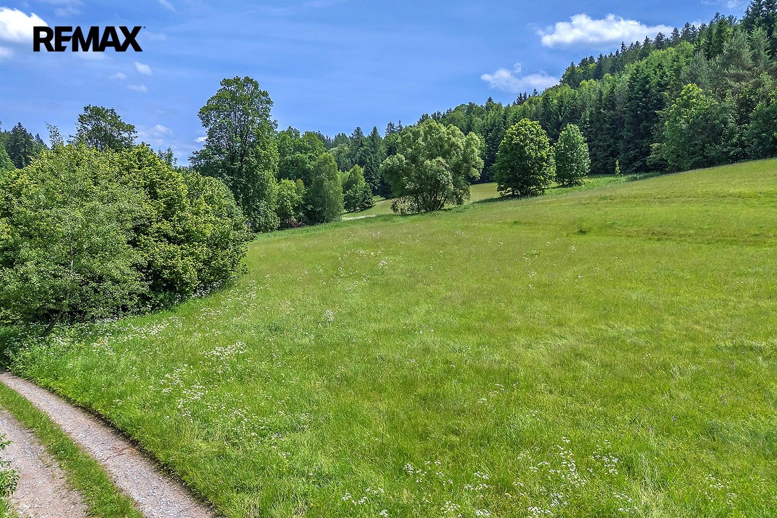 Pozemky pro bydlení, Červená Voda, 3 948 m² - 2