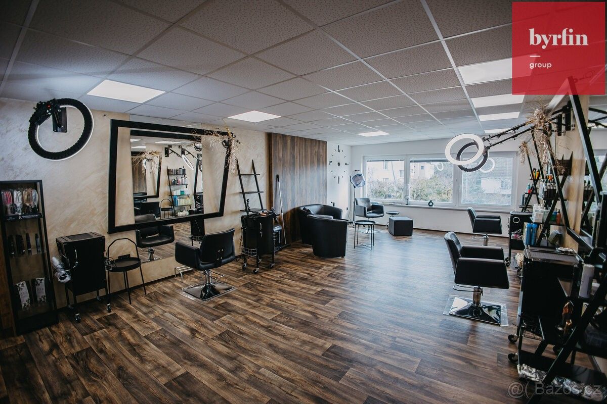 Prodej ostatní - Opava, 747 05