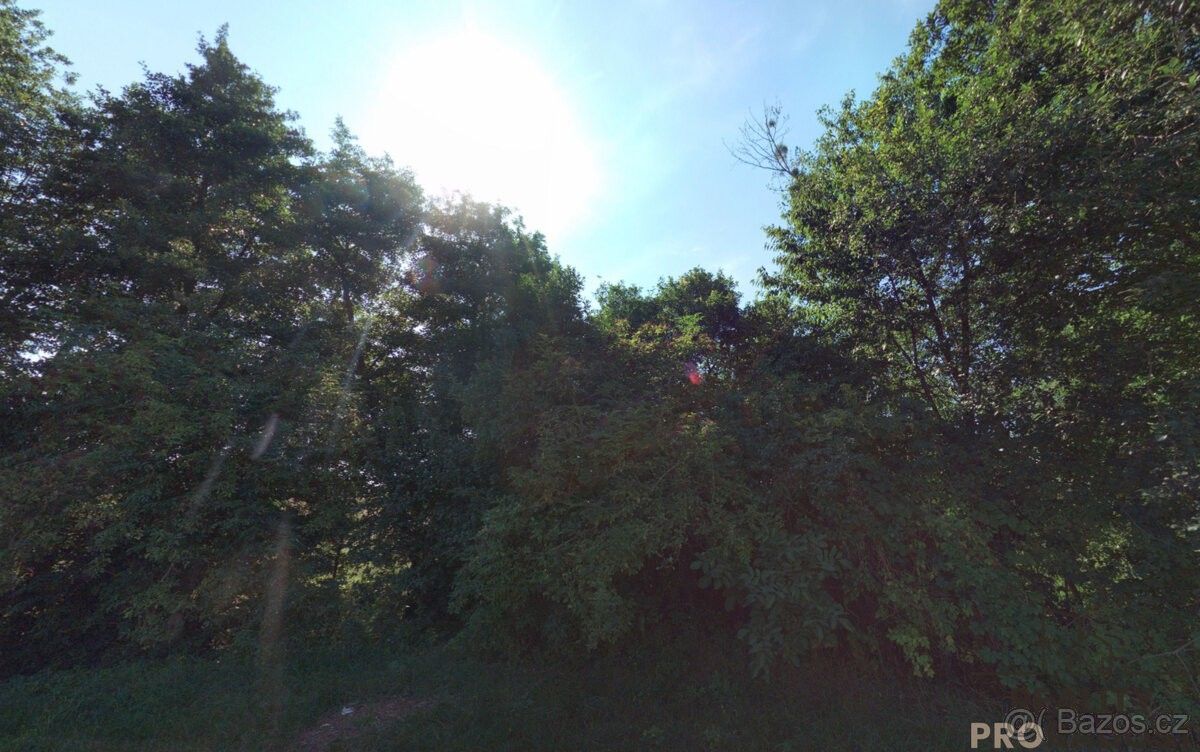 Prodej pozemek pro bydlení - Traplice, 687 04