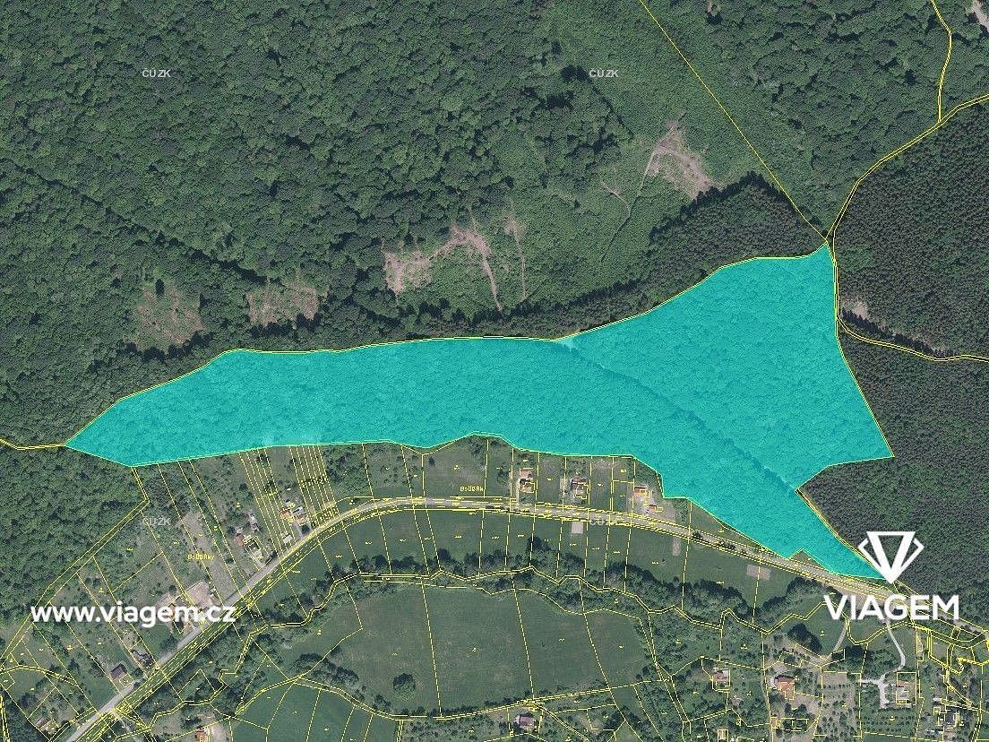 Prodej les - Bánov, okres Uherské Hradiště, Zlínský kraj - 5