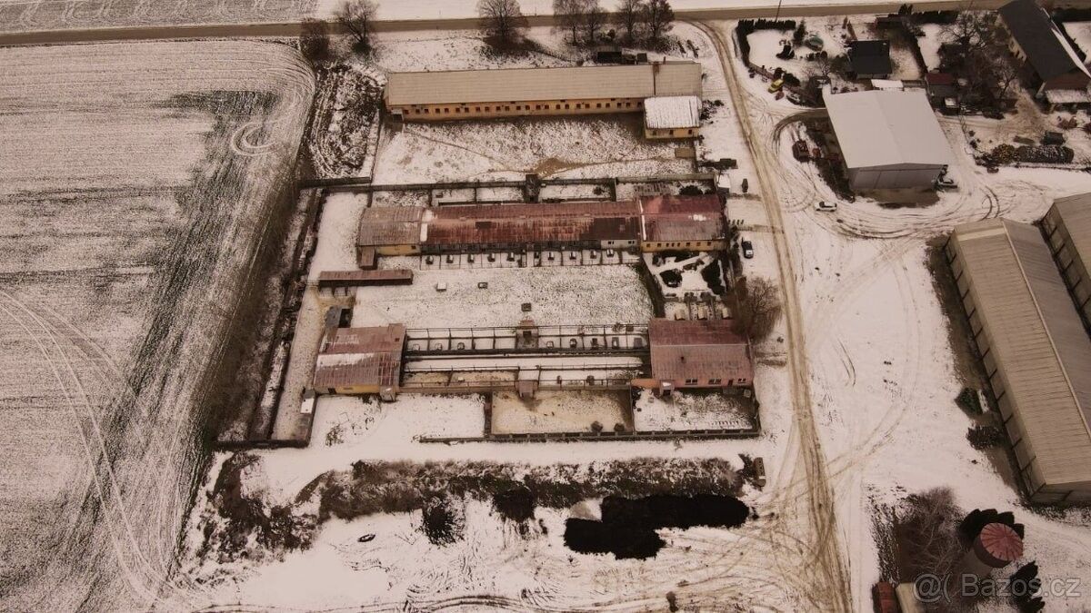 Ostatní, Osoblaha, 793 99