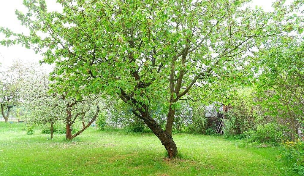 Prodej chalupa - Dobříš, okres Příbram, Středočeský kraj, 136 m² - 5