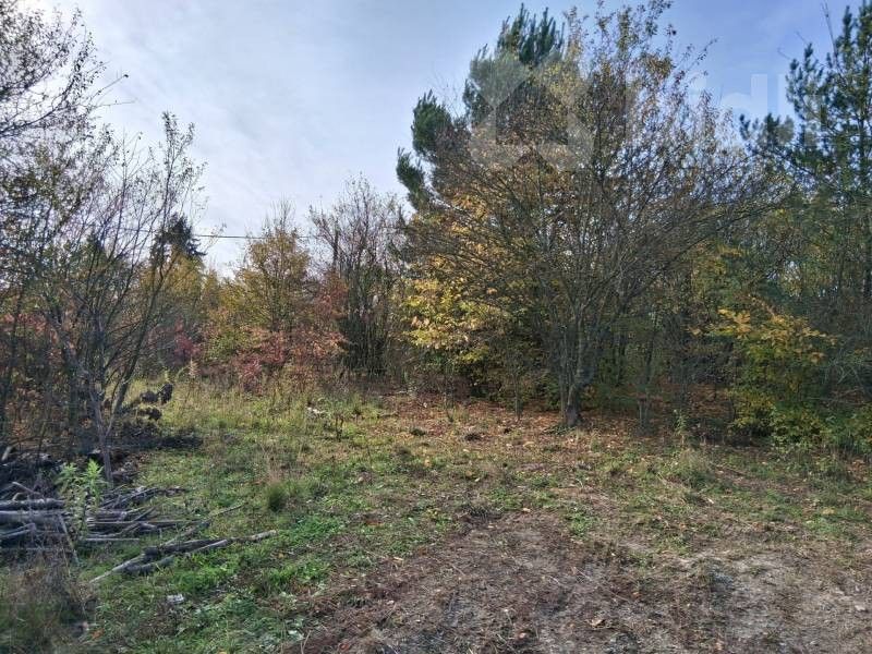 Prodej louka - Brno - 2